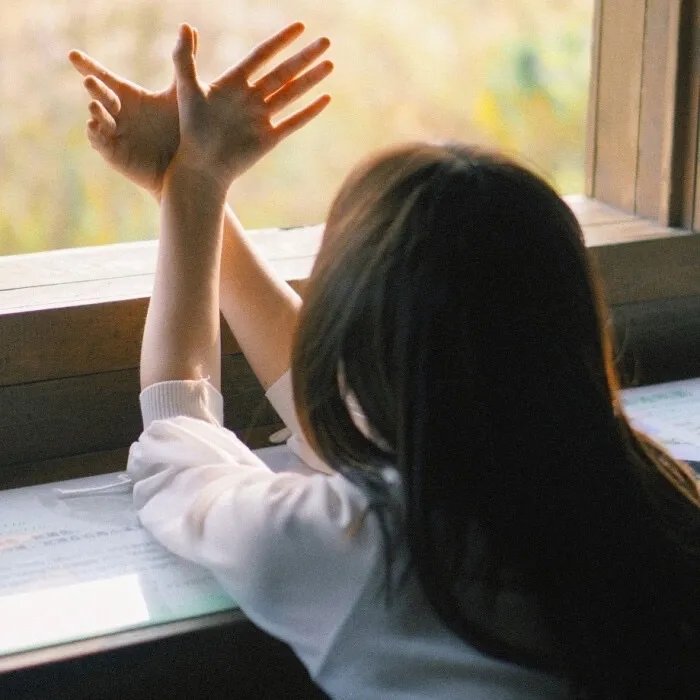 寻宝侦探第二季